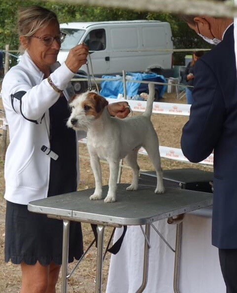 Picola pom del gipsylaguloup (Sans Affixe)